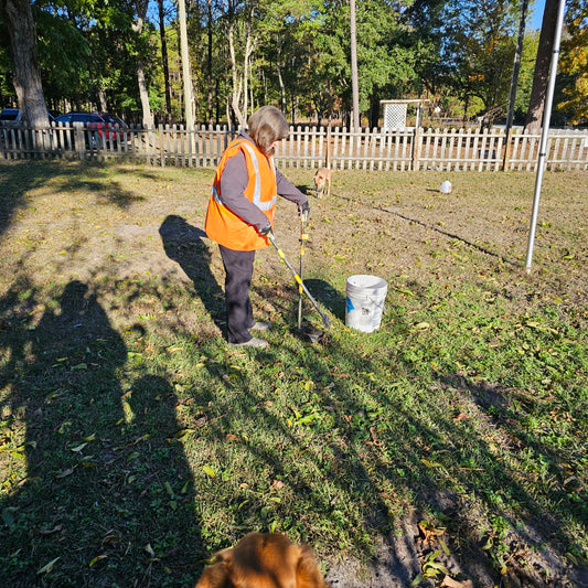 Pepper's Pet Waste Removal Service