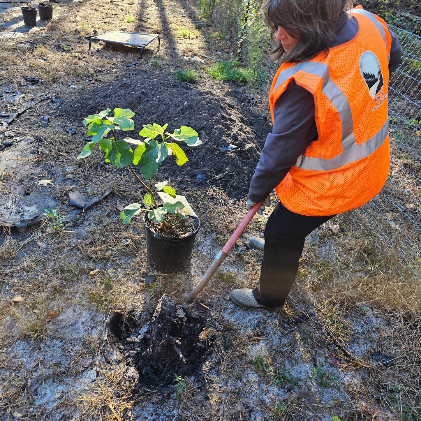 Pepper's Tree Planting Service